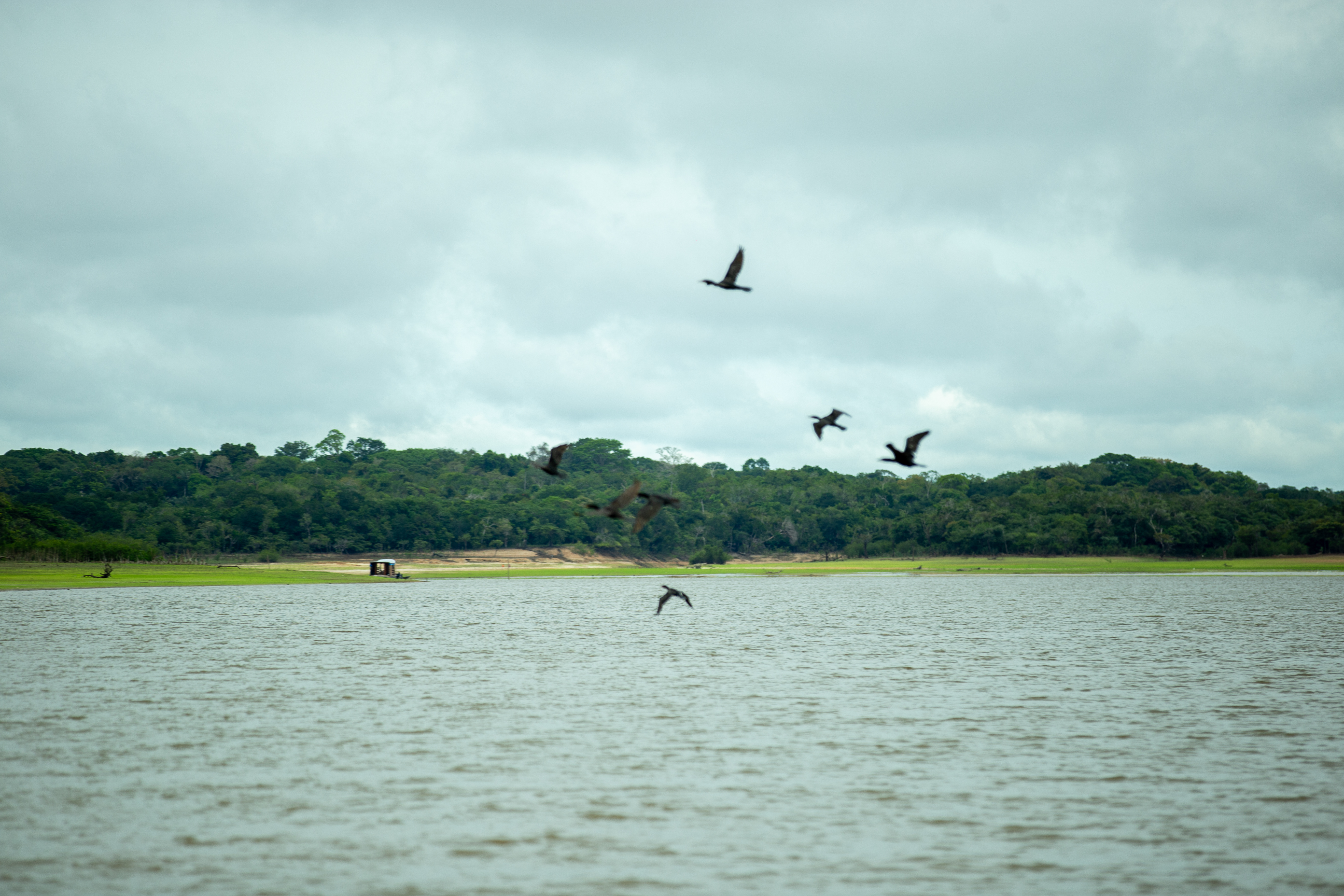 ​MRN revela jornada de restauração ecológica do Lago Batata