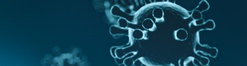 Impactos da COVID-19 no setor mineral – 19/8