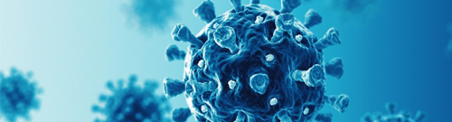 Impactos da COVID-19 no setor mineral – 14 de setembro de 2020