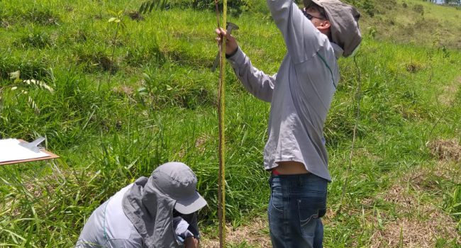 CBA realiza estudo sobre plantio de nativas para ampliar a biodiversidade na Zona da Mata