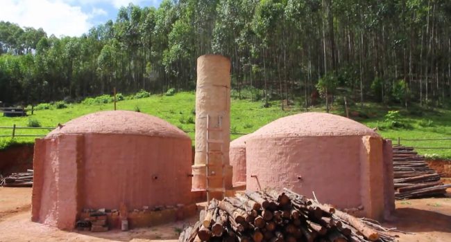 Programa Siderurgia Sustentável permite que o carvão vegetal seja o principal combustível de grandes siderúrgicas