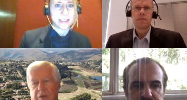 IBRAM apresenta oportunidades na mineração do Brasil a representantes finlandeses no webinar “Latam Talks: Brazil”