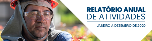 Relatório Anual – janeiro a dezembro 2020