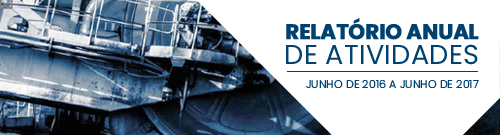 Relatório Anual – 2016 | 2017