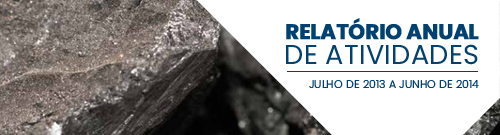 Relatório Anual – 2013 | 2014