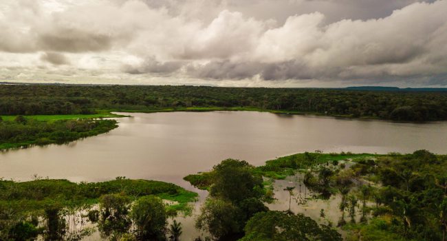 Alcoa e MRN apoiam projetos de manejo responsável pela conservação da floresta