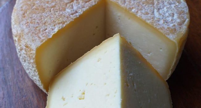 Produtores rurais do Programa Crescer, da Anglo American, conquistam prêmio em concurso de queijo na França