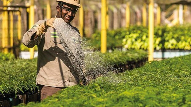 MRN lança Relatório de Sustentabilidade com transparência dados, desafios e resultados das iniciativas realizadas 
