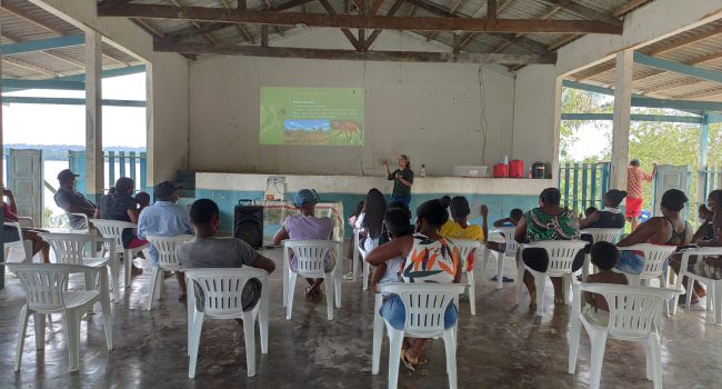 Programa de educação ambiental da MRN ajuda a preservar e utilizar com sabedoria  os recursos naturais