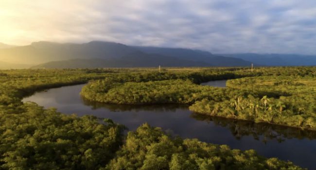 Serviço Geológico do Brasil divulga mapa de favorabilidade para depósitos de cobre e ouro na Amazônia