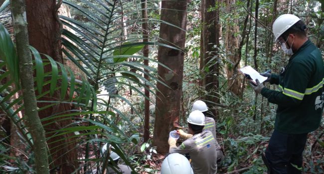 Projeto de Copaíba incentiva conscientização ambiental e geração de renda em comunidades quilombolas de Oriximiná