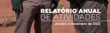 Relatório Anual – janeiro a dezembro 2021