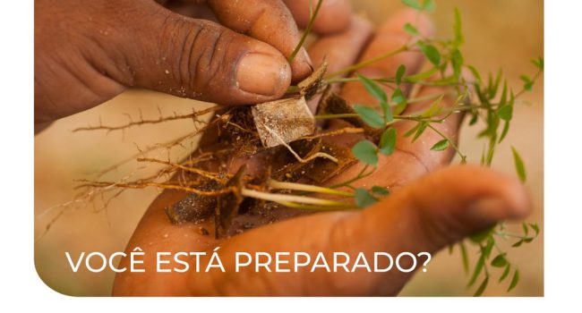 UNIBRAM lança curso sobre licenciamento ambiental para mineração 