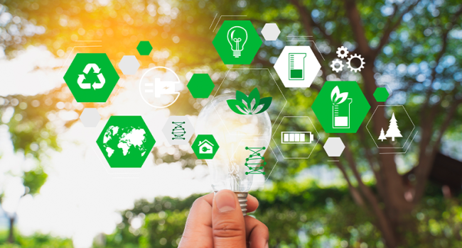 Vale avança em projeto pioneiro para a adoção de combustíveis de baixo carbono na navegação