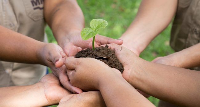 MRN recebe recomendação de certificações que atestam compromisso de melhoria contínua da segurança no trabalho e a gestão ambiental de suas atividades