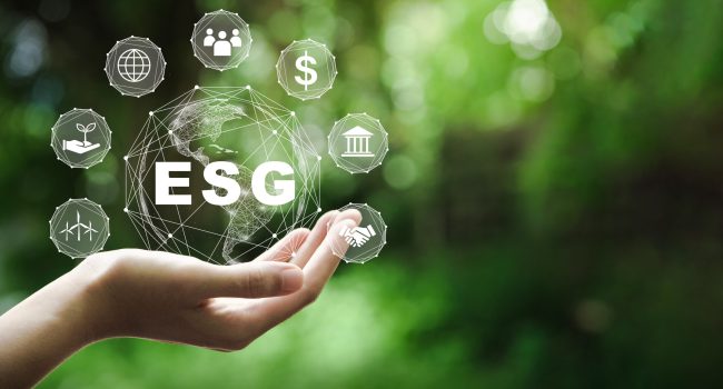 Nexa anuncia compromissos ESG até 2030