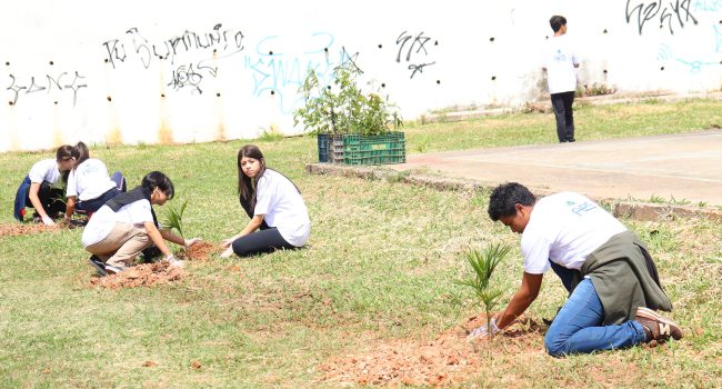 APS e Alcoa inauguram a primeira Floresta de Bolso de Bolso em Andradas