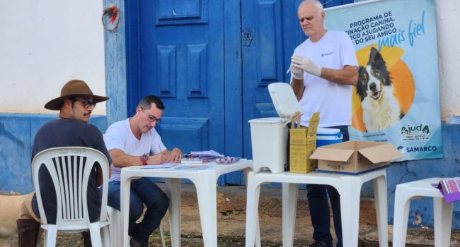 Samarco superou meta de campanha de vacinação canina