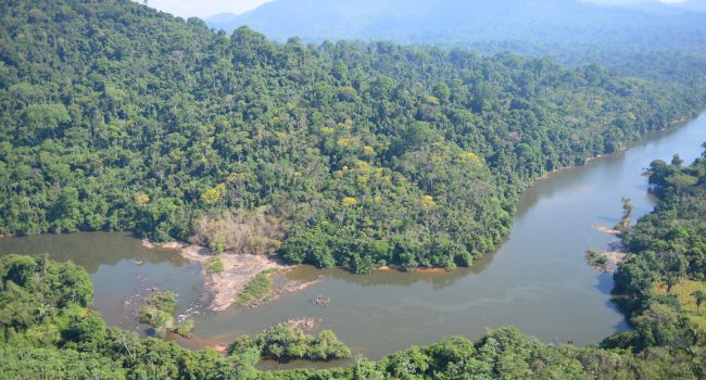 Vale figura em ranking global de empresas comprometidas com a proteção da natureza