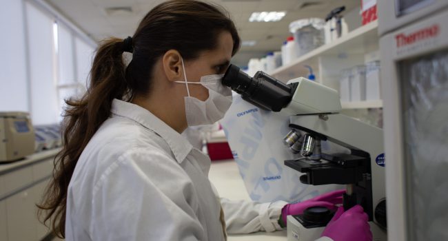 Vale e ICMBio lançam projeto inédito para mapear DNA da biodiversidade brasileira