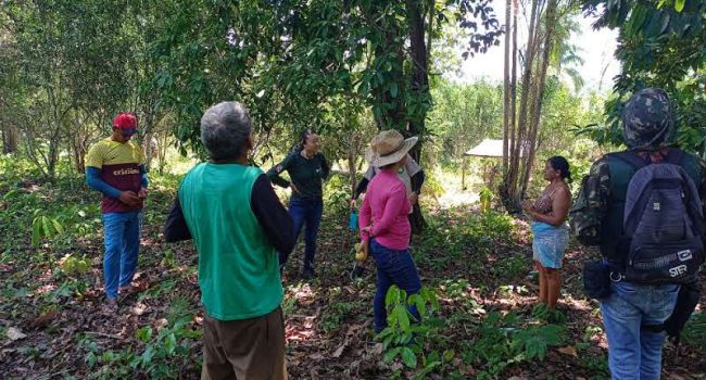 Projeto incentiva geração de renda e equilíbrio ambiental em Oriximiná