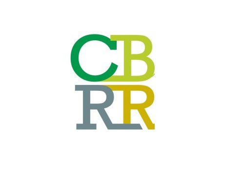 CBRR divulga novo guia para Declaração de Informações de Exploração, Recursos Minerais e Reservas Minerais
