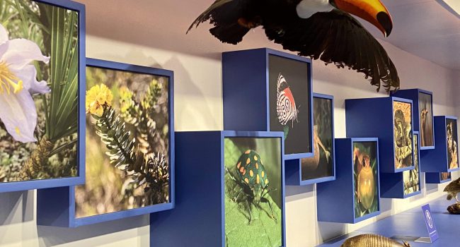 Anglo American reinaugura Estação Ciência, referência em cultura e educação para a Serra do Espinhaço