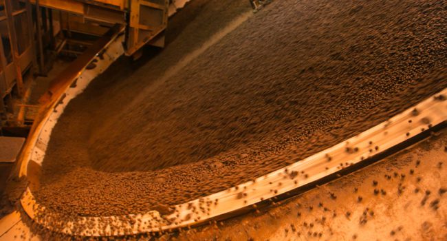 Vale produz, pela primeira vez, pelotas a partir de fontes renováveis