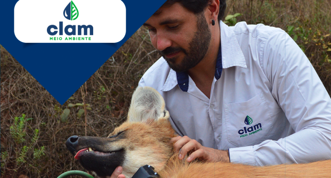CLAM: empresa de consultoria e gestão em engenharia e projetos é nova associada do IBRAM