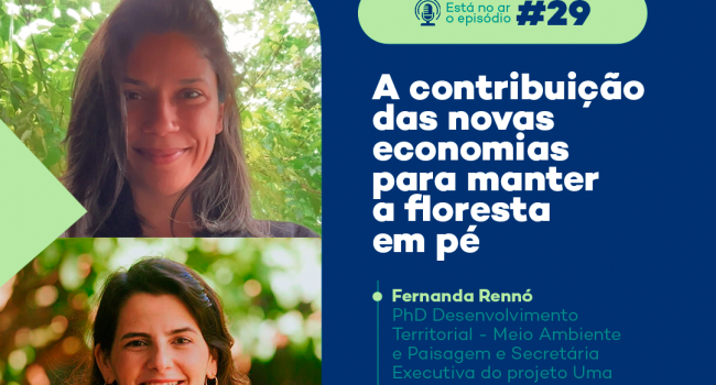 PodMinerar: a contribuição das novas economias para manter a floresta em pé