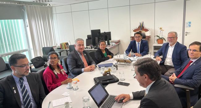 IBRAM debate soluções para o combate ao garimpo ilegal com representantes do Ministério dos Povos Indígenas