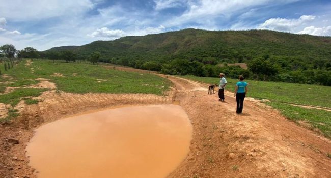 Projeto de conscientização ambiental da Nexa evita erosão e assoreamento em córrego de Paracatu