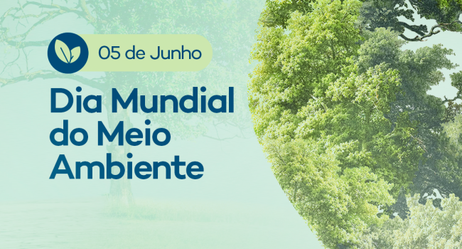 Dia Mundial do Meio Ambiente: a mineração brasileira e a Agenda ESG
