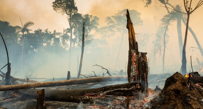 Cuidados para evitar queimadas devem ser redobrados em período de seca