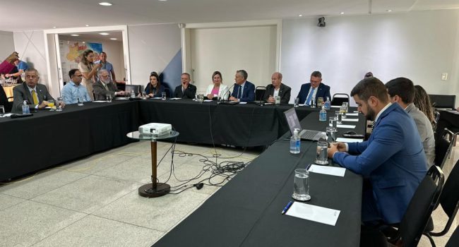 IBRAM participa de reunião da FPMin para tratar das vantagens do pó de basalto à agricultura