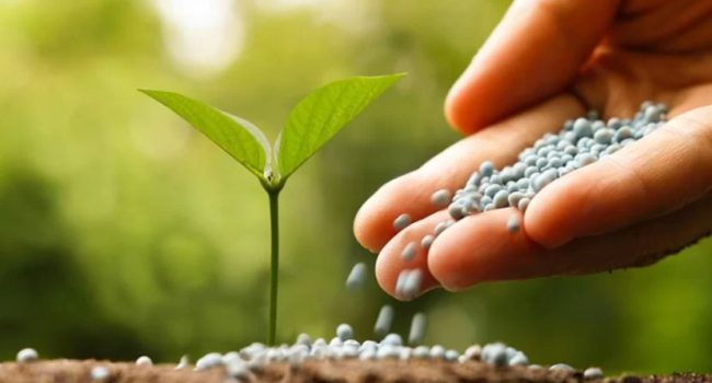 Yara investe R$ 90 milhões em fertilizantes de alta tecnologia no Brasil