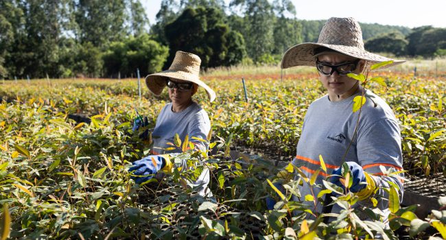 ArcelorMittal BioFlorestas celebra 67 anos e renova seu  compromisso com o desenvolvimento econômico e socioambiental