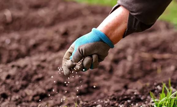 Mosaic Fertilizantes destaca soluções de alta performance para sojicultura no BelaSafra 2024