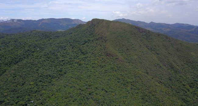 AngloGold Ashanti abre inscrições para Encontro de Gestores de Unidades de Conservação
