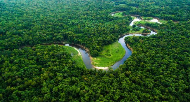 Jornada Amazônia lança o Sinergia Investimentos, modelo inovador de aceleração de negócios de impacto socioambiental na floresta amazônica