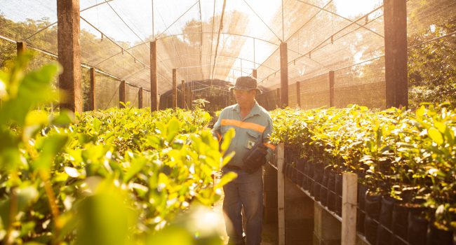 Alcoa amplia iniciativas para fortalecer a preservação ambiental