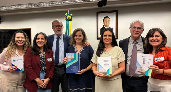 IBRAM apresenta na Câmara dos Deputados vasto estudo sobre minerais críticos