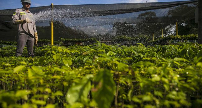 MRN recebe “Selo Ouro” por boas práticas na gestão de emissões de gases do efeito estufa
