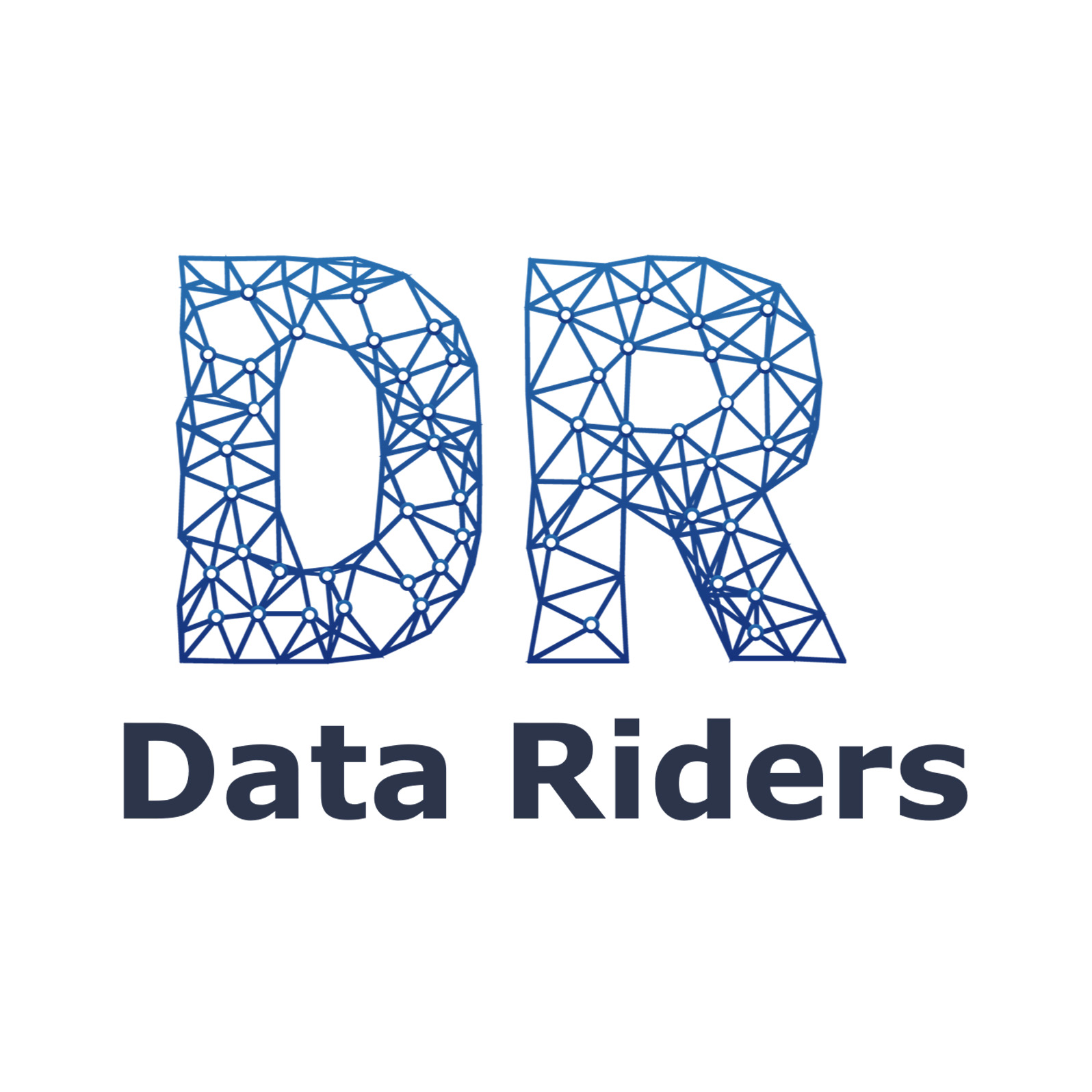 DATA RIDERS