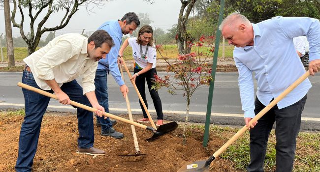 Alcoa realiza o plantio de 80 mudas de árvores na Avenida Mansur Frayha, em Poços de Caldas