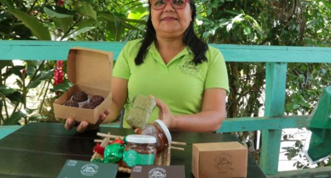 Bioeconomia na Amazônia: uma alternativa para o desenvolvimento econômico sustentável