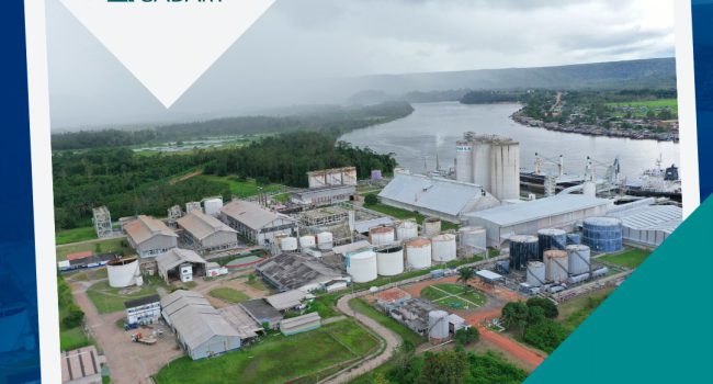 KaMin/CADAM, especialista em caulim, associa-se ao IBRAM