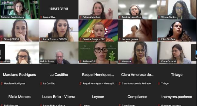 Especialistas discutem diretrizes brasileiras de boas práticas corporativas com povos indígenas
