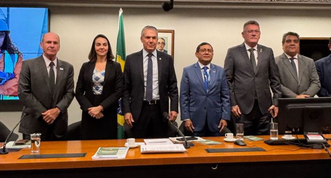 IBRAM prestigia solenidade em comemoração aos dois anos de atuação da FPMin