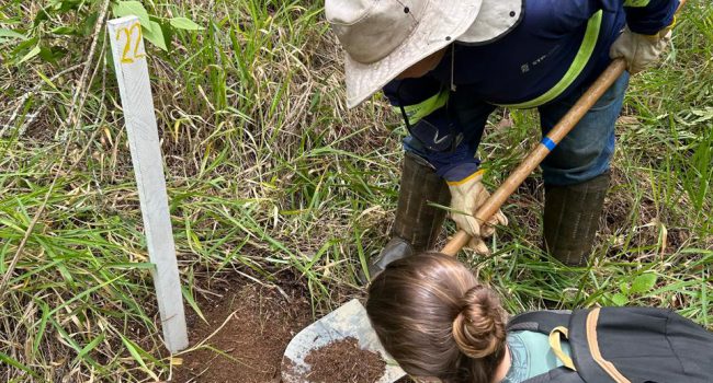 CBA e UFV desenvolvem pesquisa pioneira sobre recuperação de áreas mineradas em Poços de Caldas
